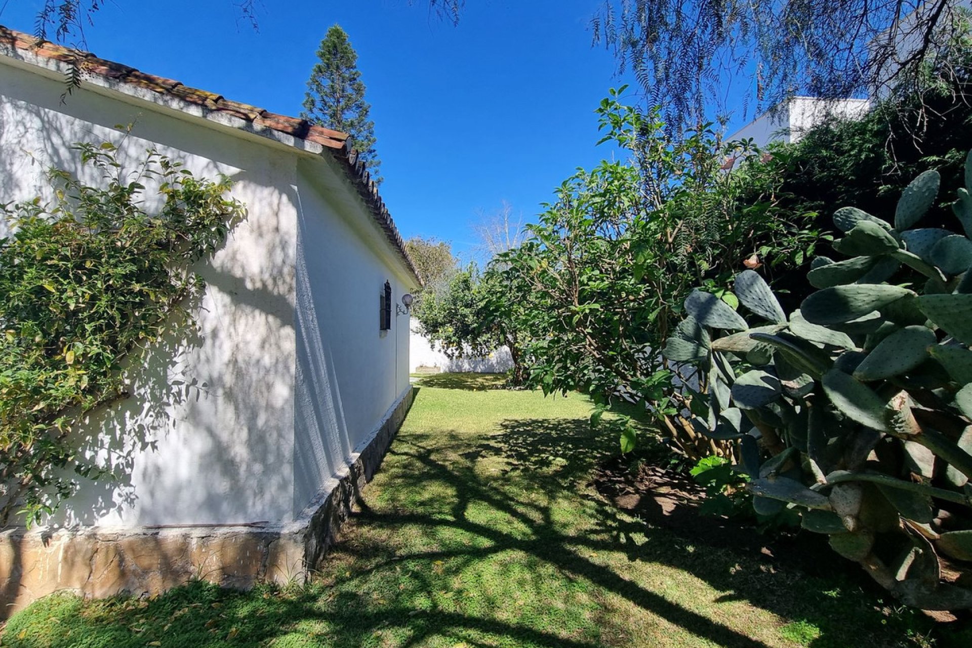 Resale - House - Detached Villa - Marbella - Puerto Banús