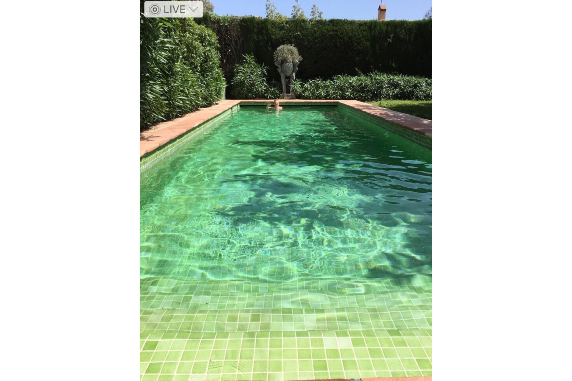 Resale - House - Detached Villa - Marbella - San Pedro De Alcantara