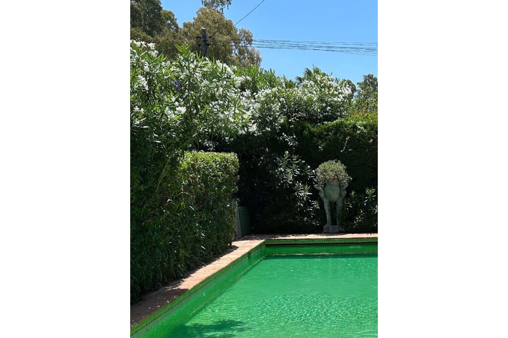 Resale - House - Detached Villa - Marbella - San Pedro De Alcantara