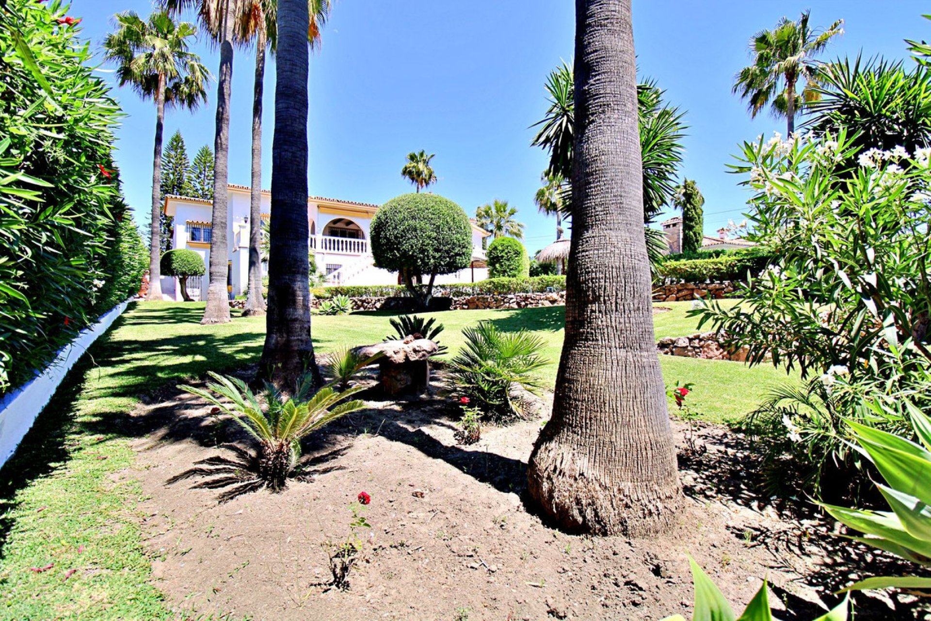 Resale - House - Detached Villa - Marbella - San Pedro De Alcantara