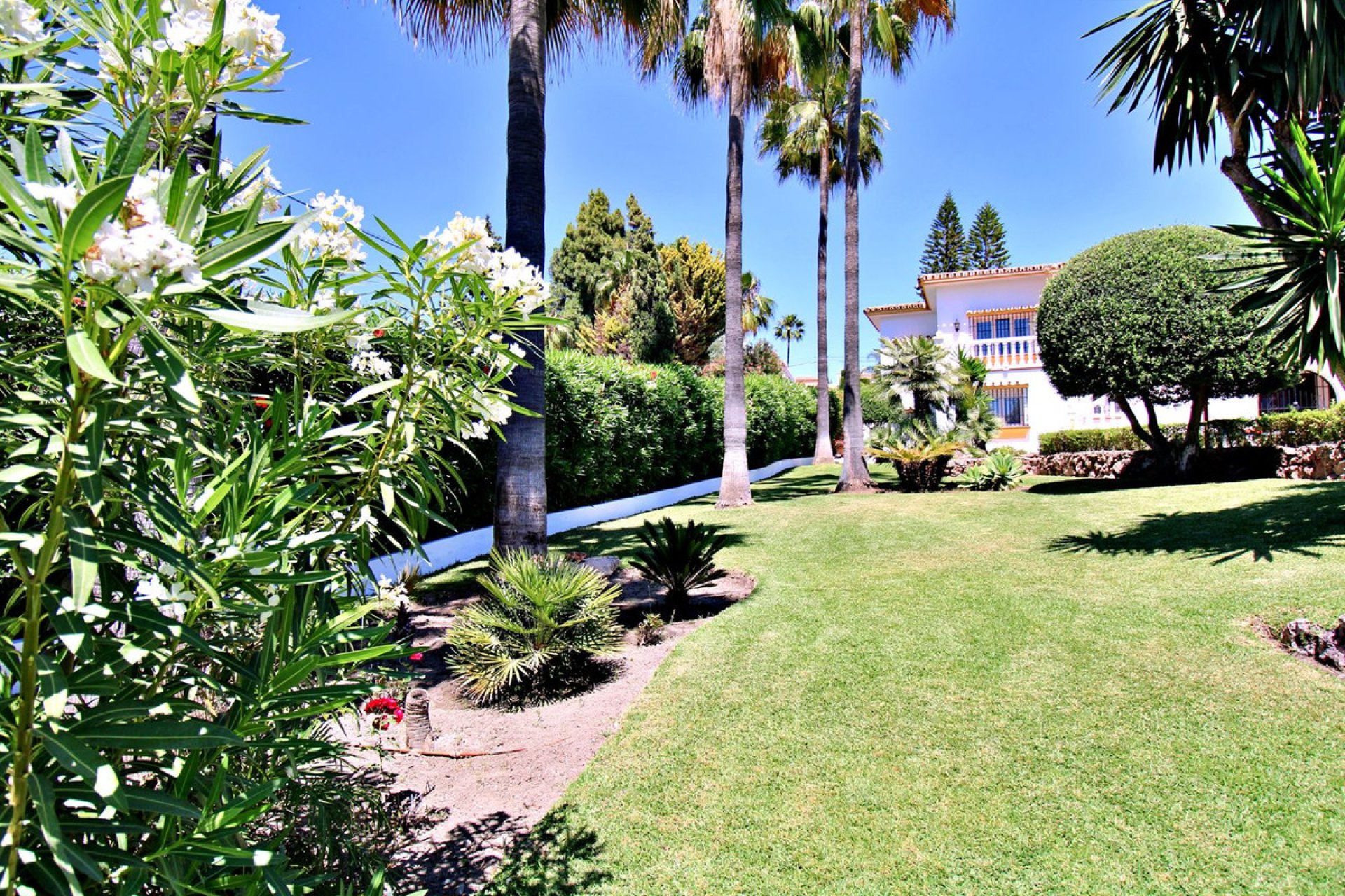 Resale - House - Detached Villa - Marbella - San Pedro De Alcantara