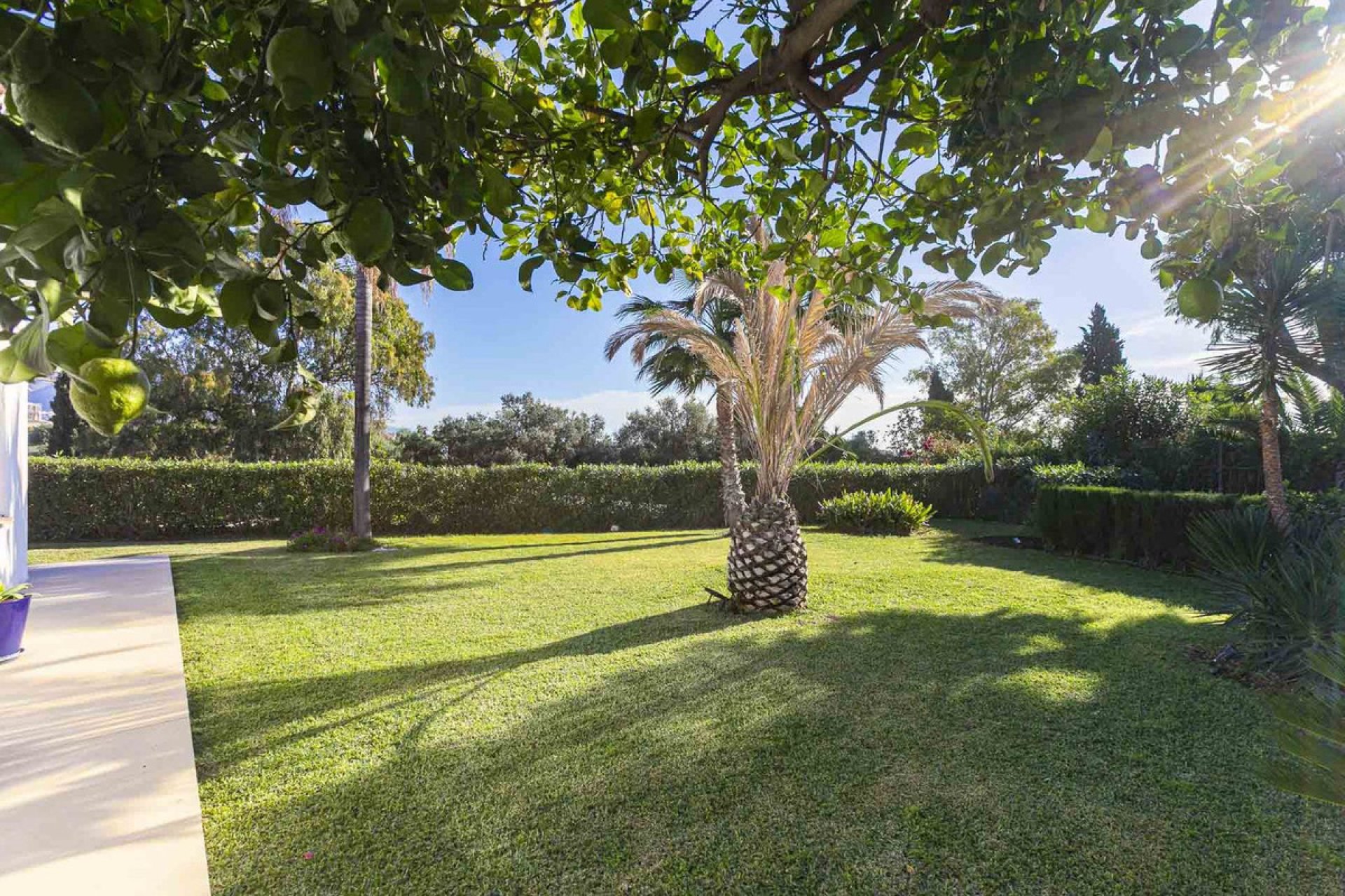 Resale - House - Detached Villa - Marbella - San Pedro De Alcantara