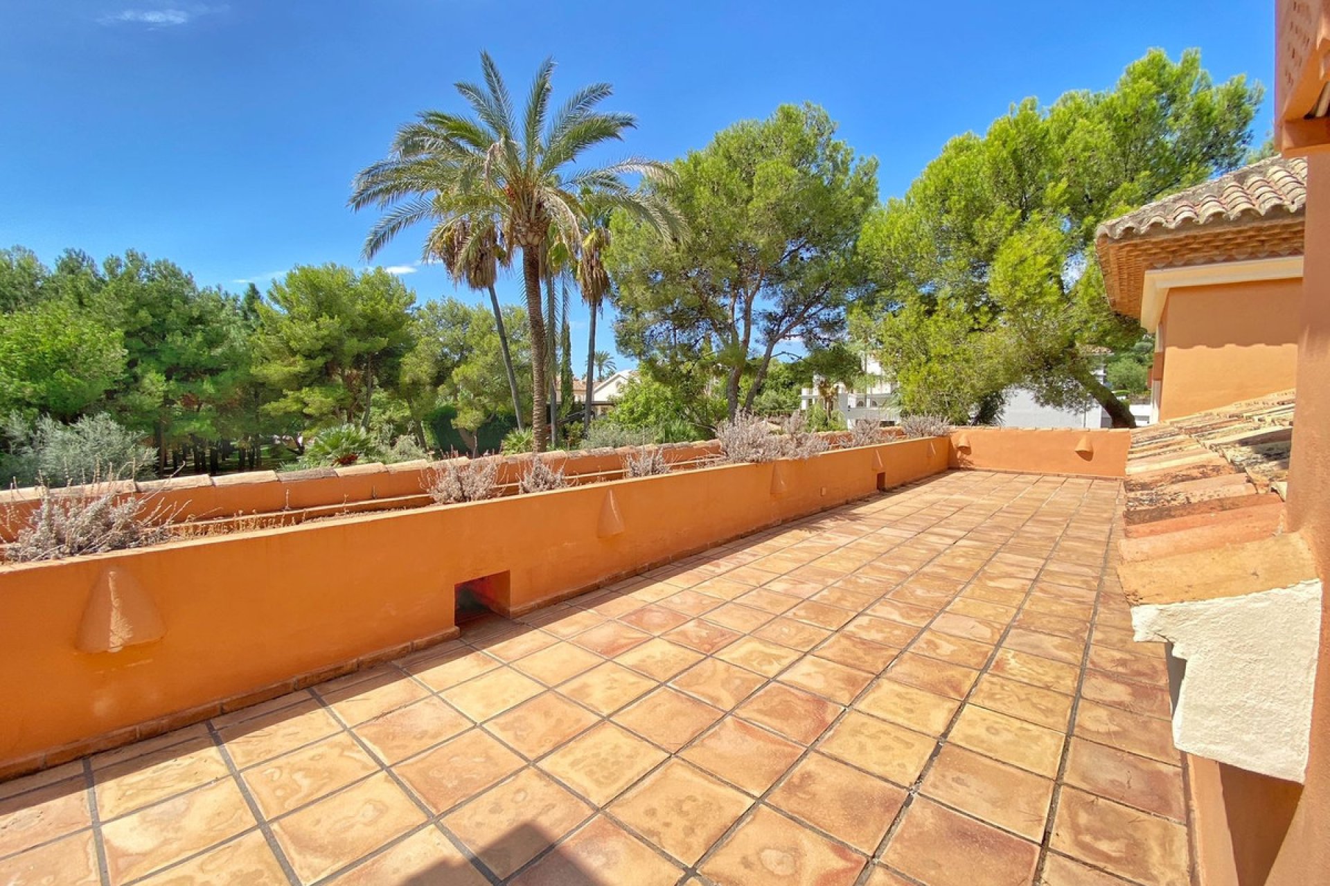 Resale - House - Detached Villa - Marbella - Sierra Blanca