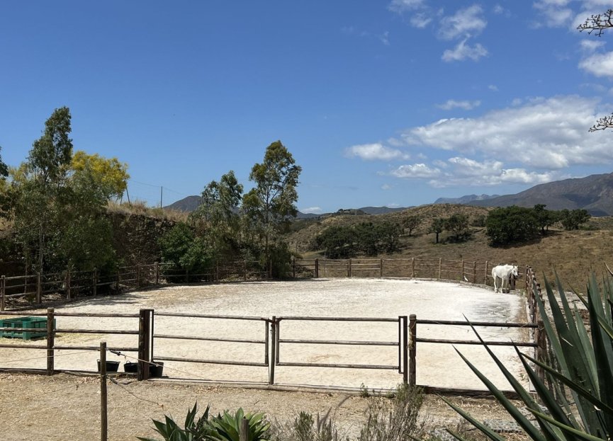 Resale - House - Detached Villa - Mijas - Mijas Centro