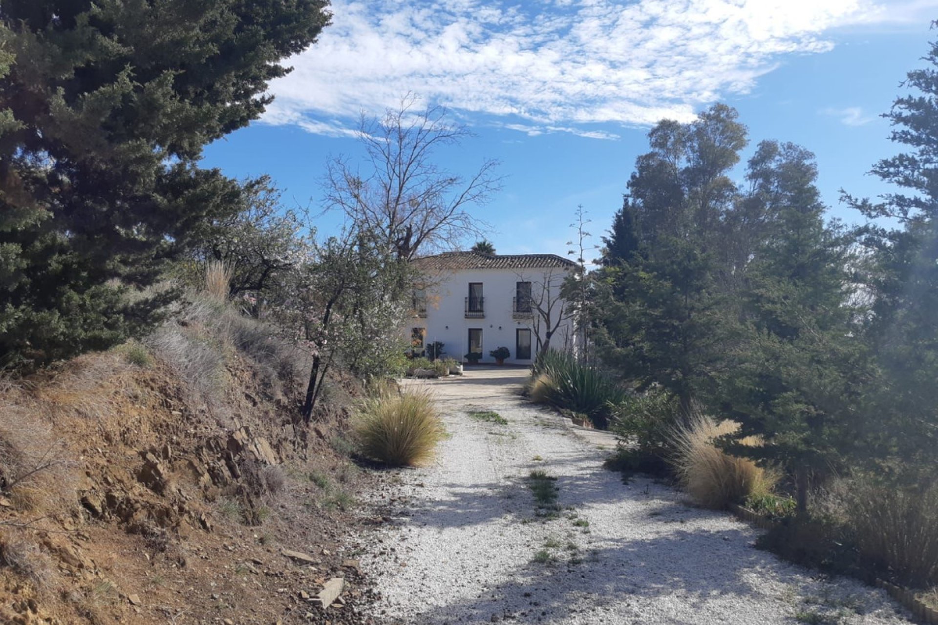 Resale - House - Detached Villa - Mijas - Mijas Centro