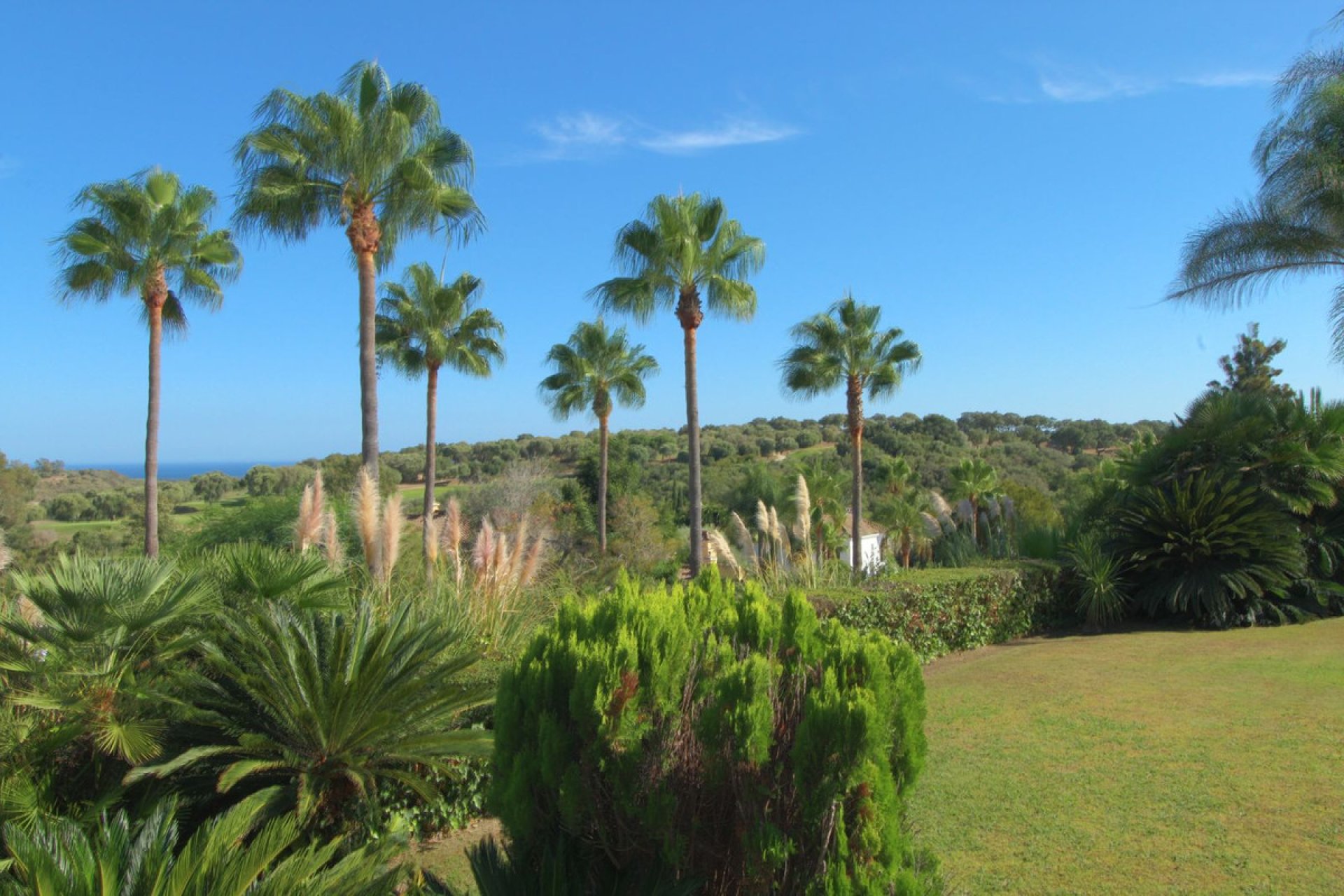 Resale - House - Detached Villa - Sotogrande