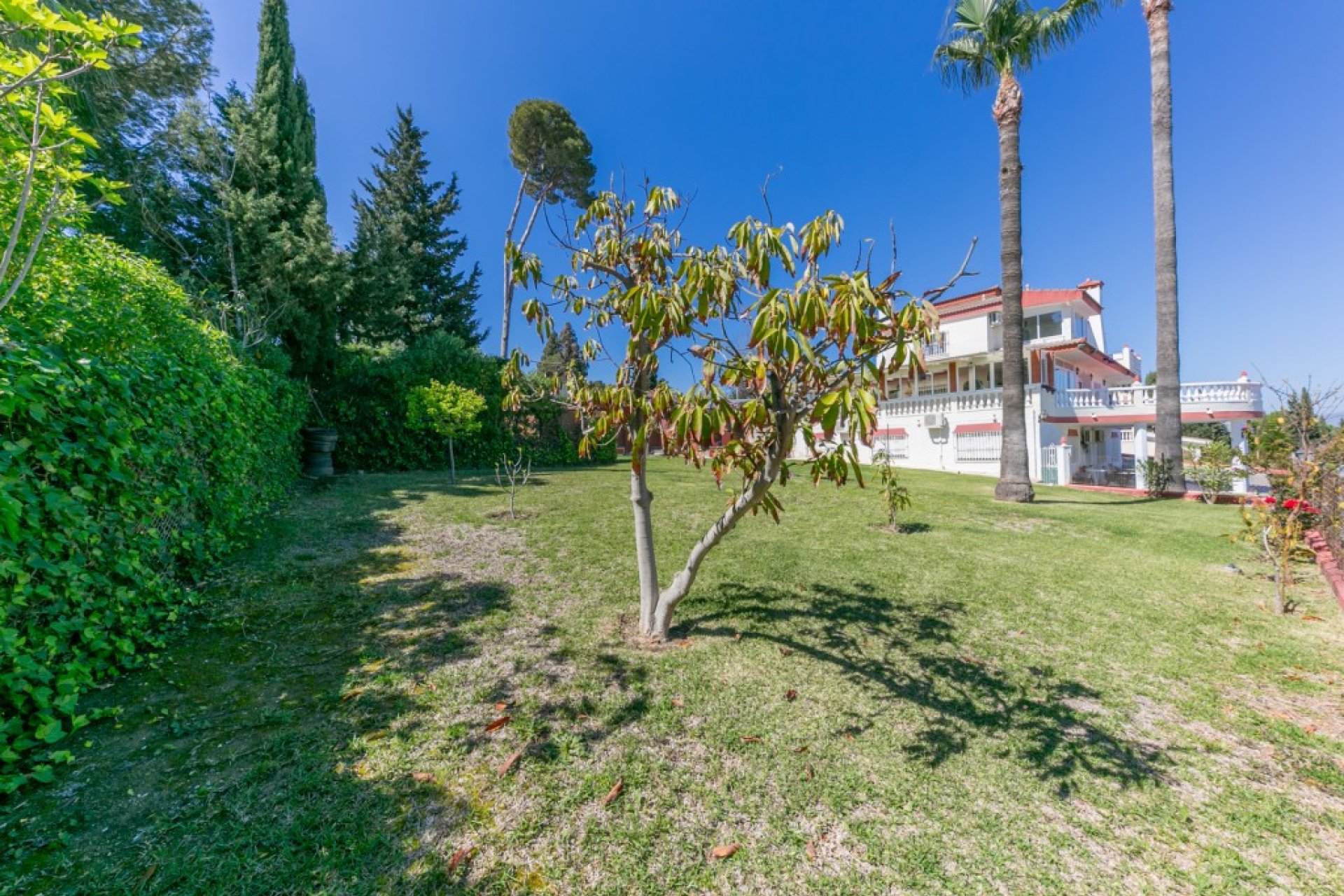 Resale - House - Detached Villa - Torremolinos