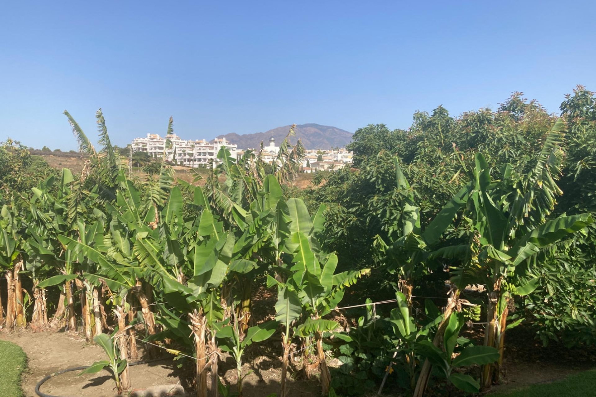 Resale - House - Estepona