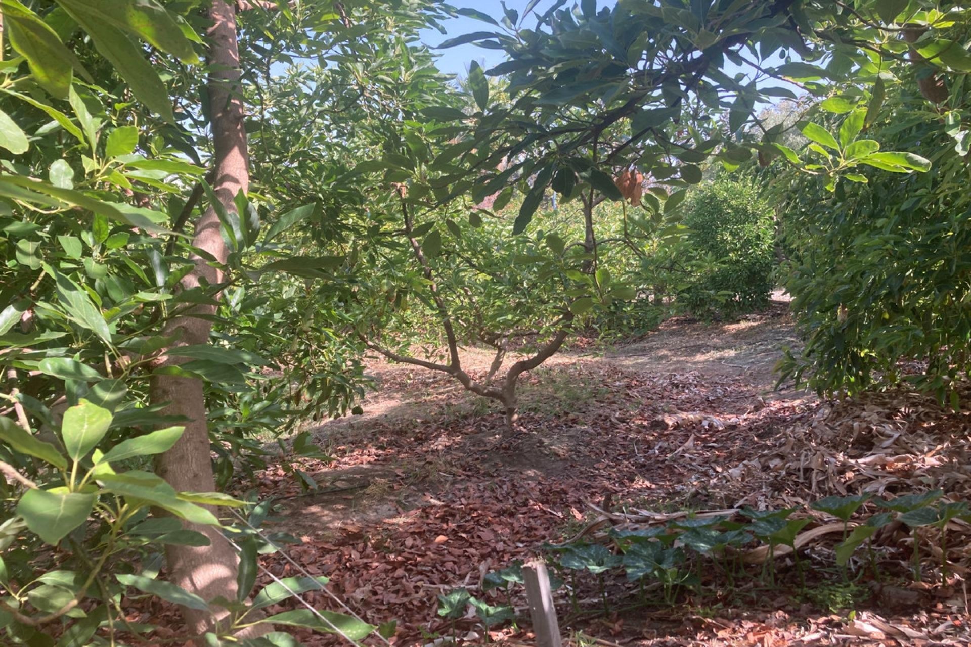 Resale - House - Estepona