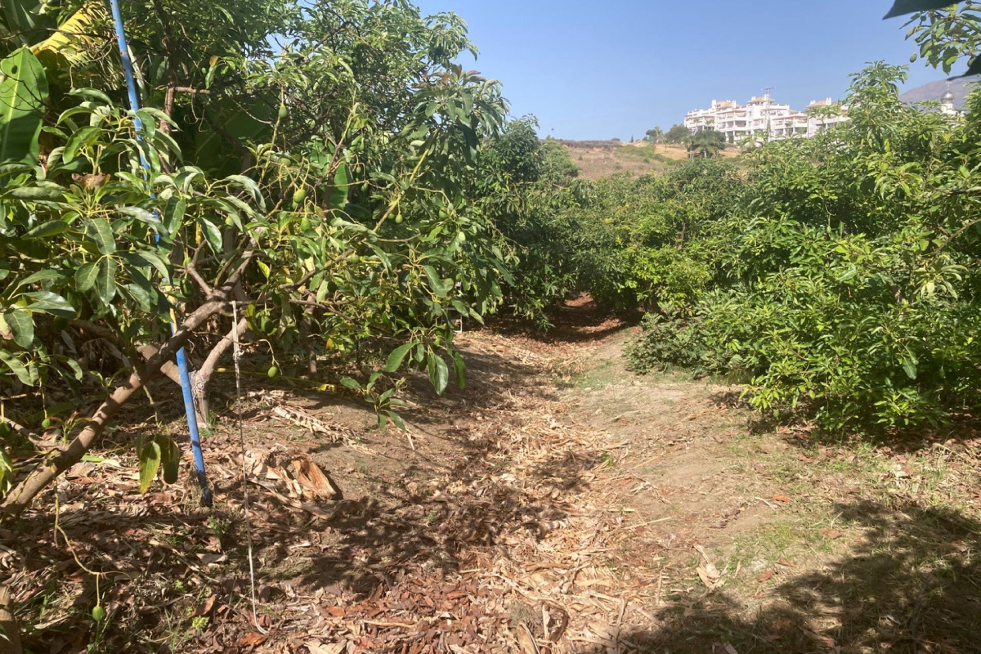 Resale - House - Estepona