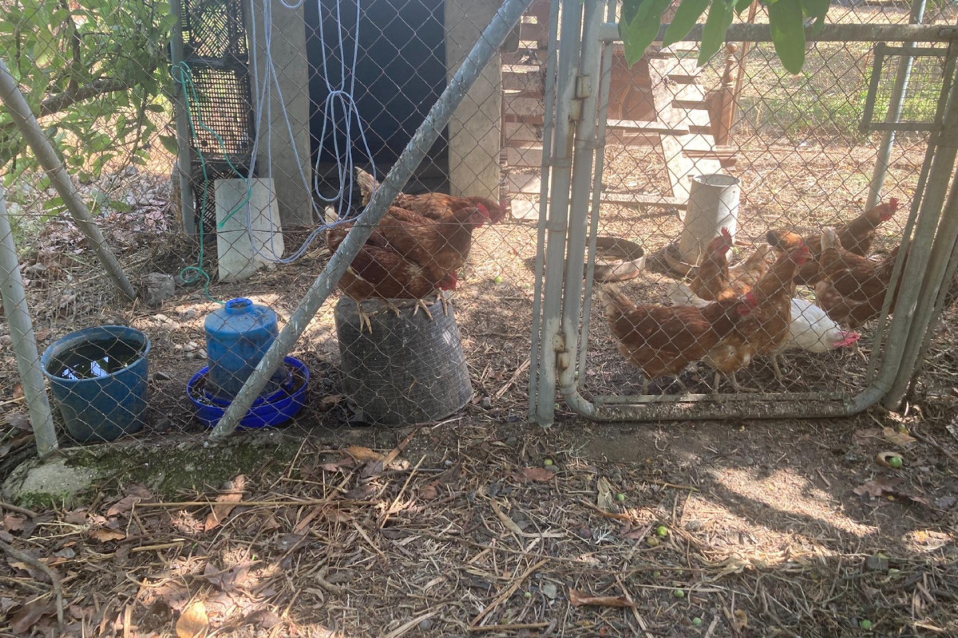 Resale - House - Estepona