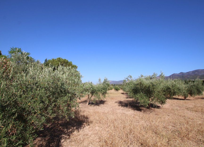 Resale - House - Finca - Cortijo - Alhaurín el Grande - Alhaurín el Grande Centro