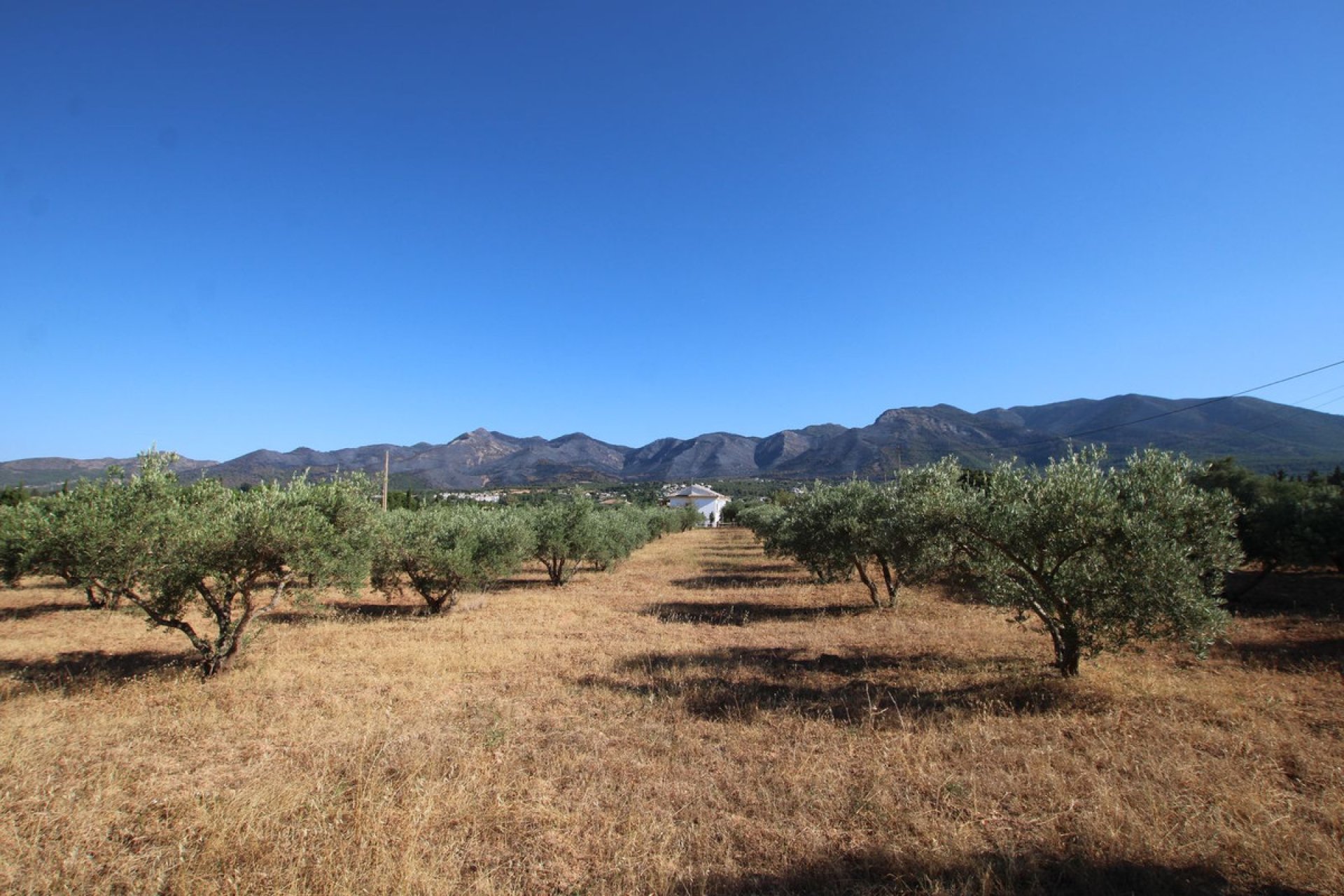 Resale - House - Finca - Cortijo - Alhaurín el Grande - Alhaurín el Grande Centro