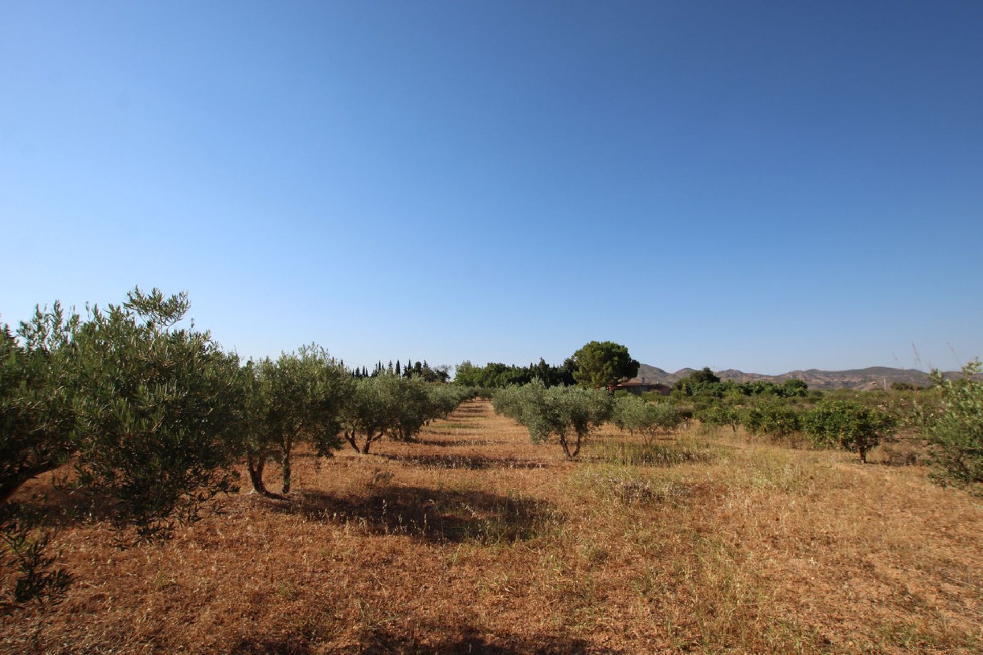 Resale - House - Finca - Cortijo - Alhaurín el Grande - Alhaurín el Grande Centro