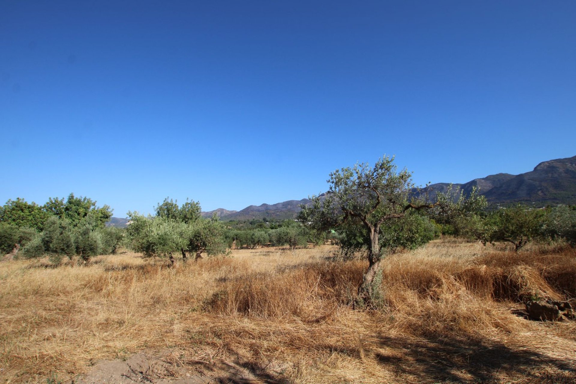 Resale - House - Finca - Cortijo - Alhaurín el Grande - Alhaurín el Grande Centro