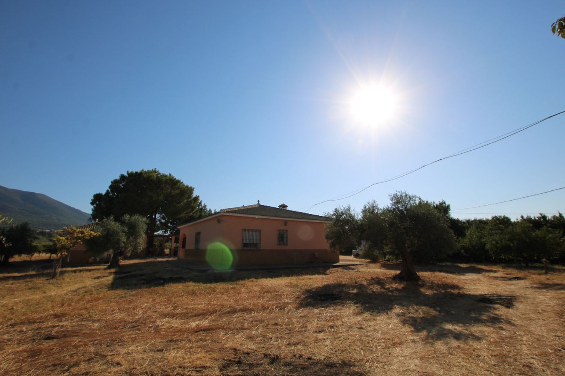 Resale - House - Finca - Cortijo - Alhaurín el Grande - Alhaurín el Grande Centro