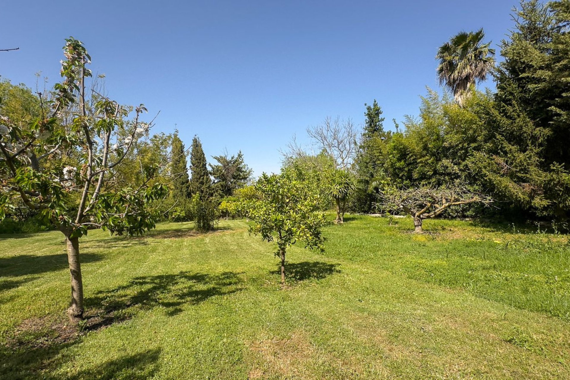 Resale - House - Finca - Cortijo - Alhaurín el Grande - Alhaurín el Grande Centro