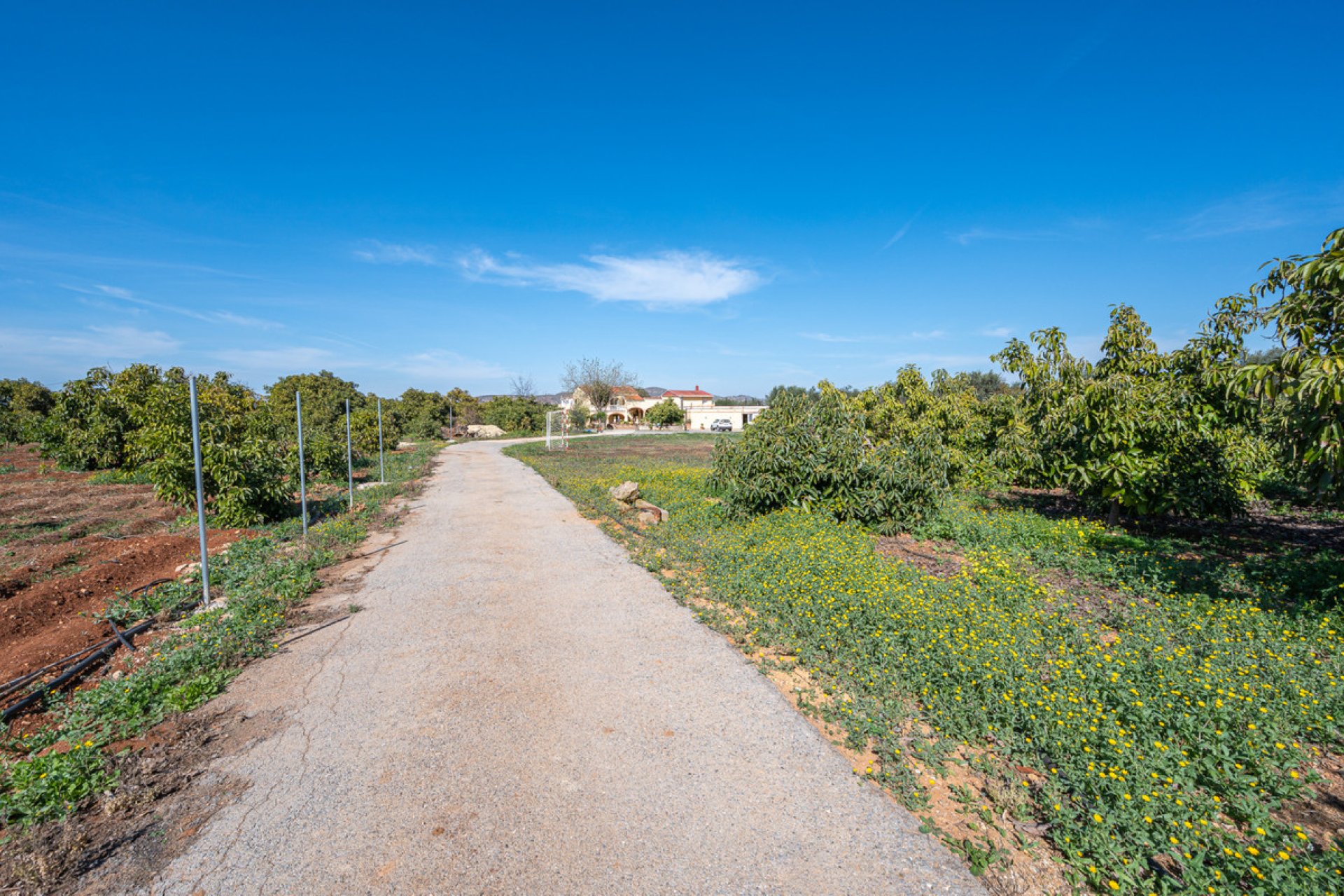 Resale - House - Finca - Cortijo - Alhaurín el Grande - Alhaurín el Grande Centro