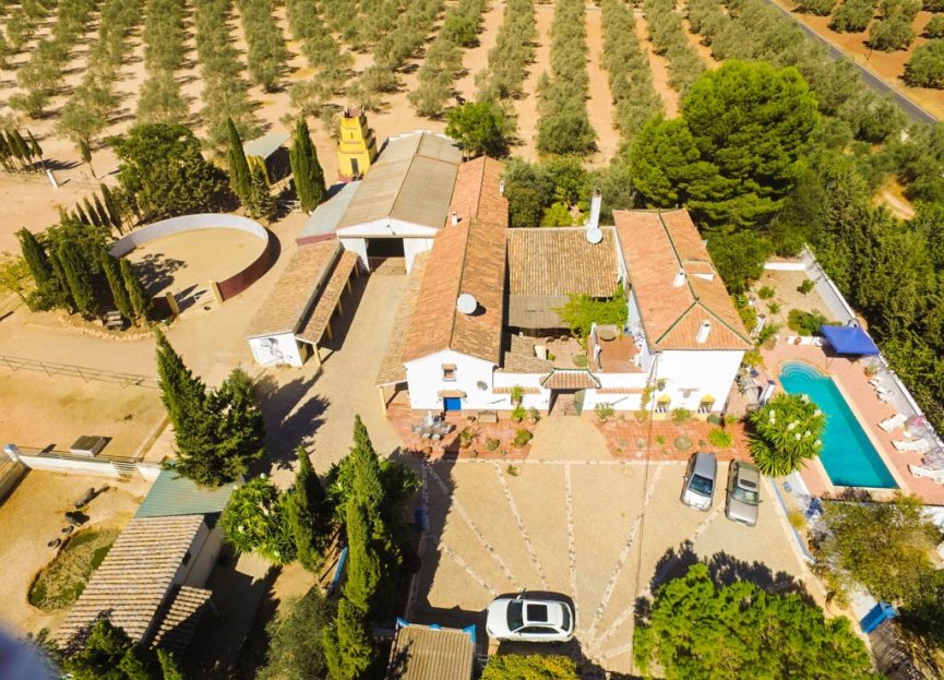 Resale - House - Finca - Cortijo - Antequera - Antequera Centro