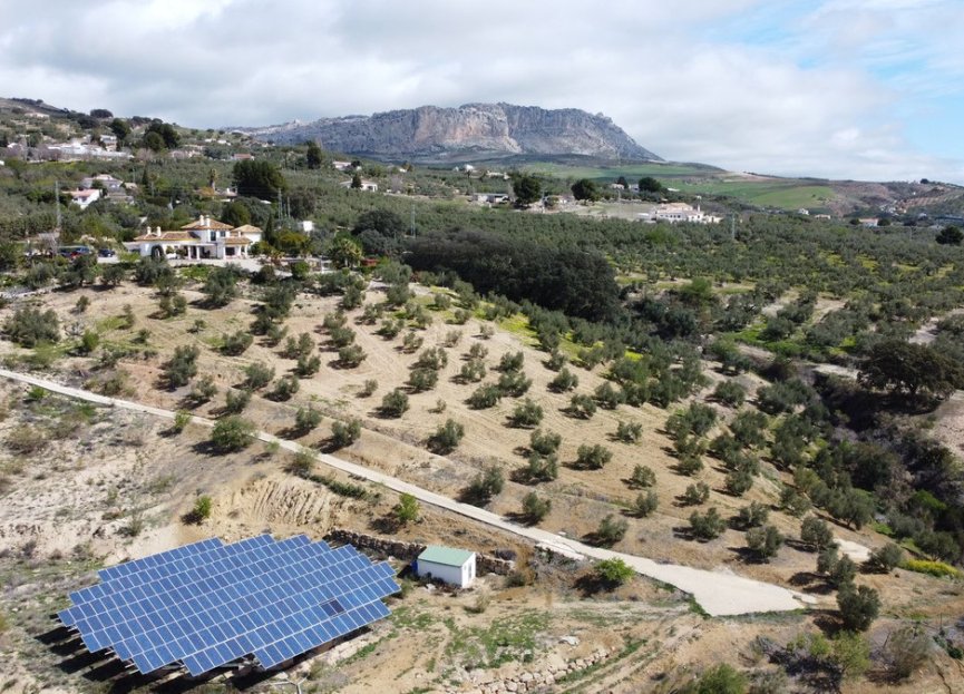 Resale - House - Finca - Cortijo - Antequera - Antequera Centro