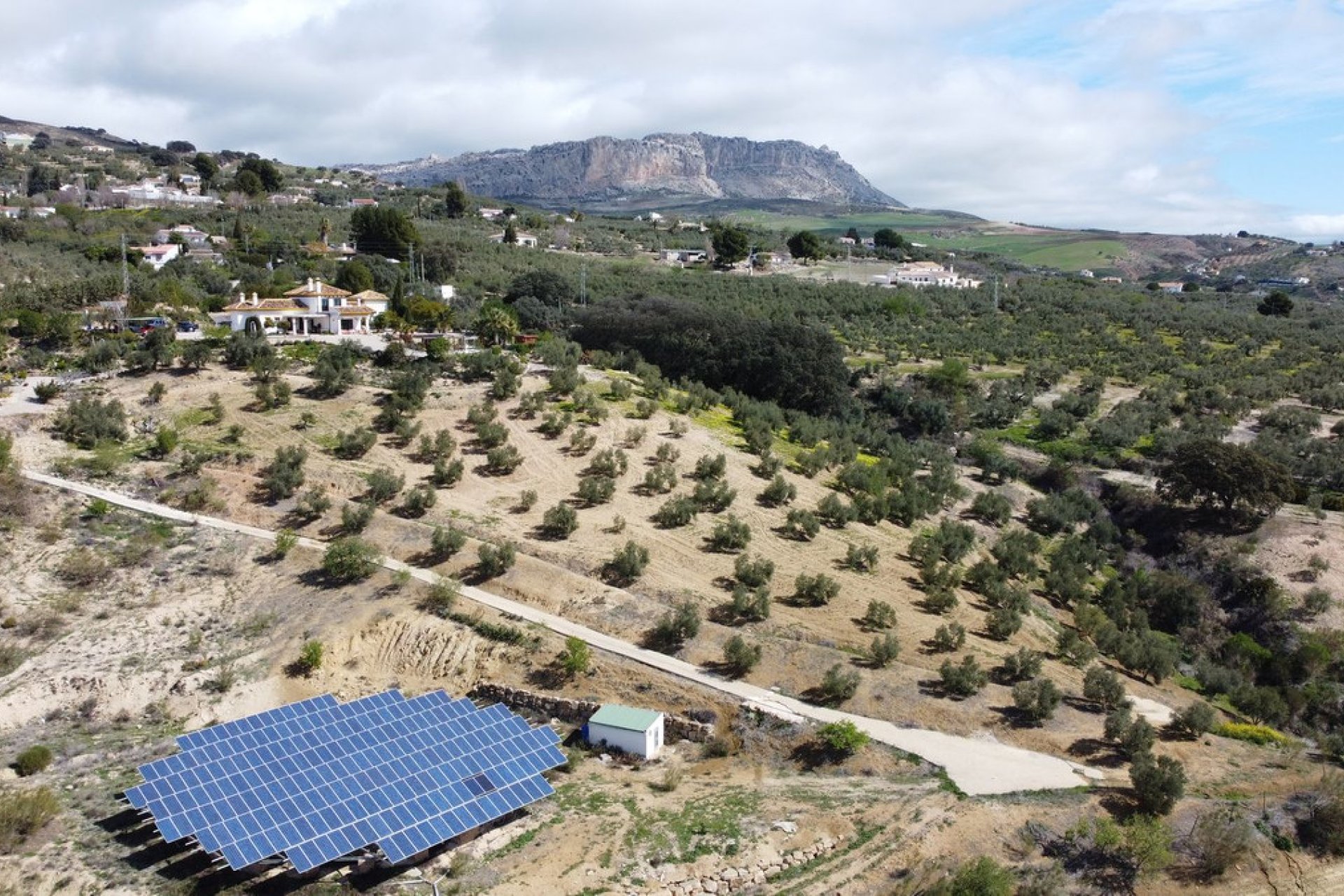 Resale - House - Finca - Cortijo - Antequera - Antequera Centro