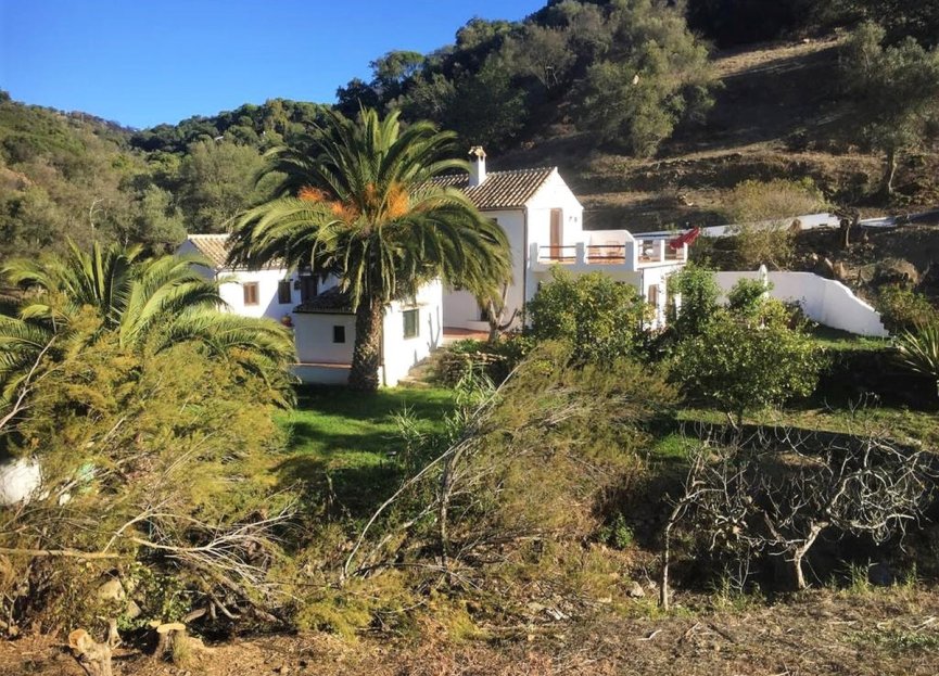 Resale - House - Finca - Cortijo - Casares - Casares Centro