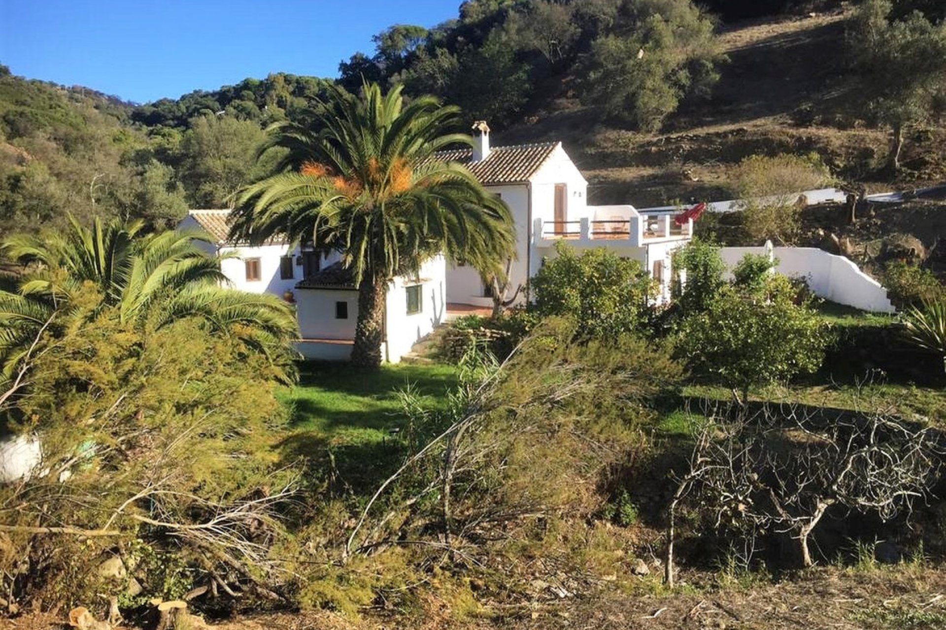 Resale - House - Finca - Cortijo - Casares - Casares Centro