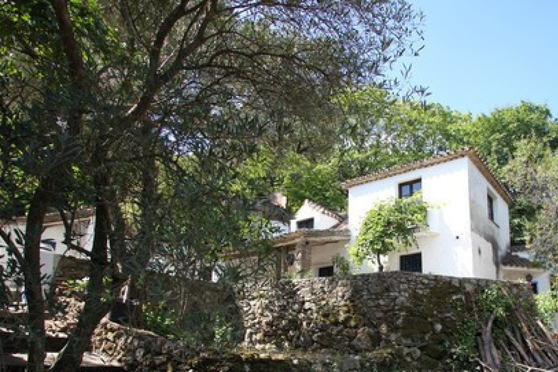 Resale - House - Finca - Cortijo - Casares - Casares Centro