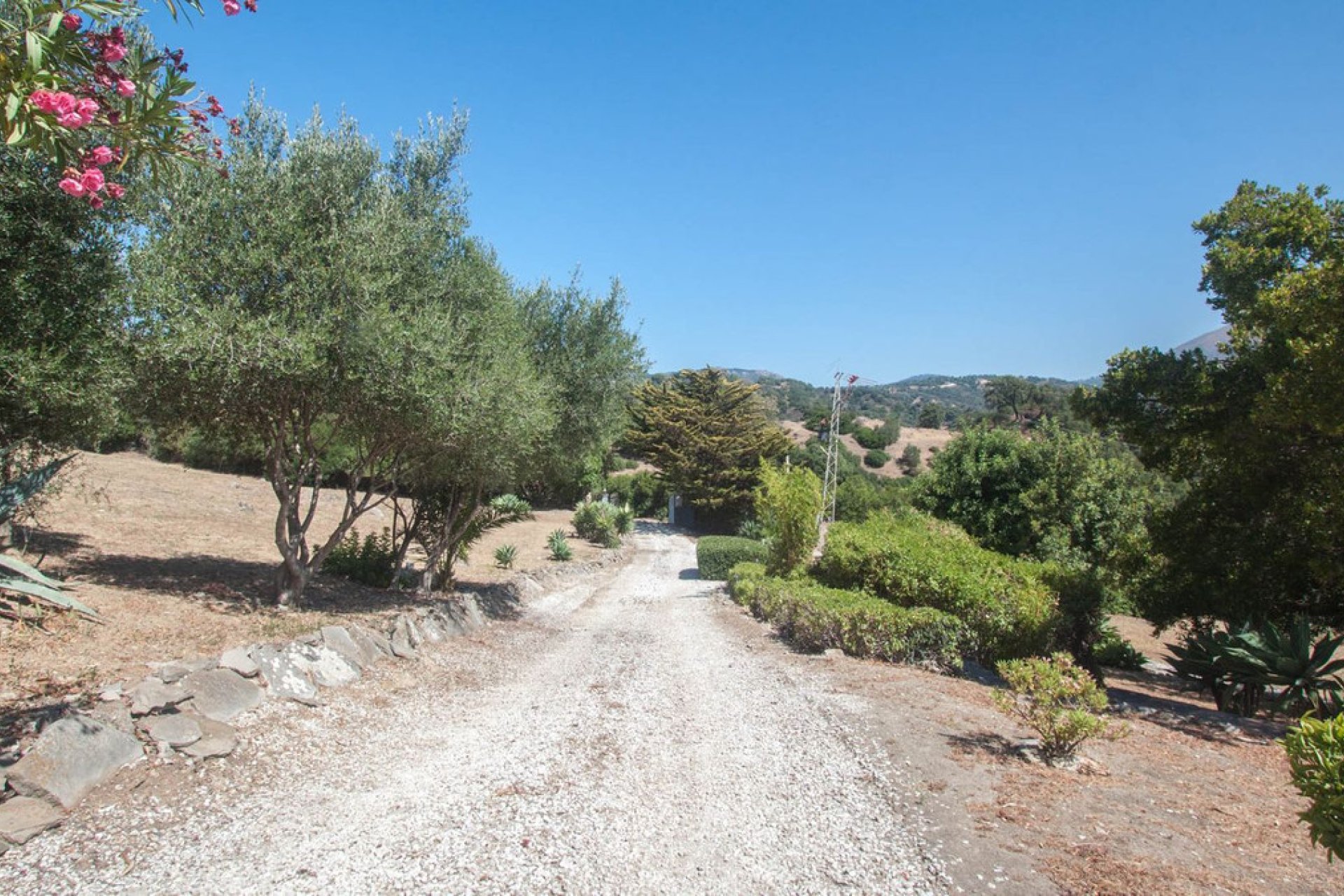 Resale - House - Finca - Cortijo - Casares - Casares Centro