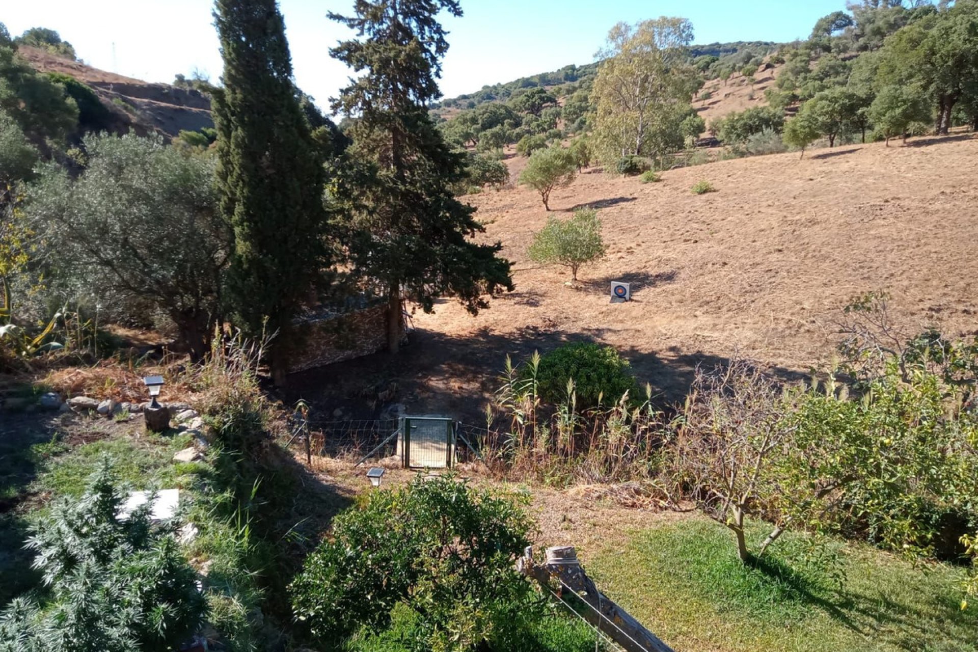 Resale - House - Finca - Cortijo - Casares - Casares Centro