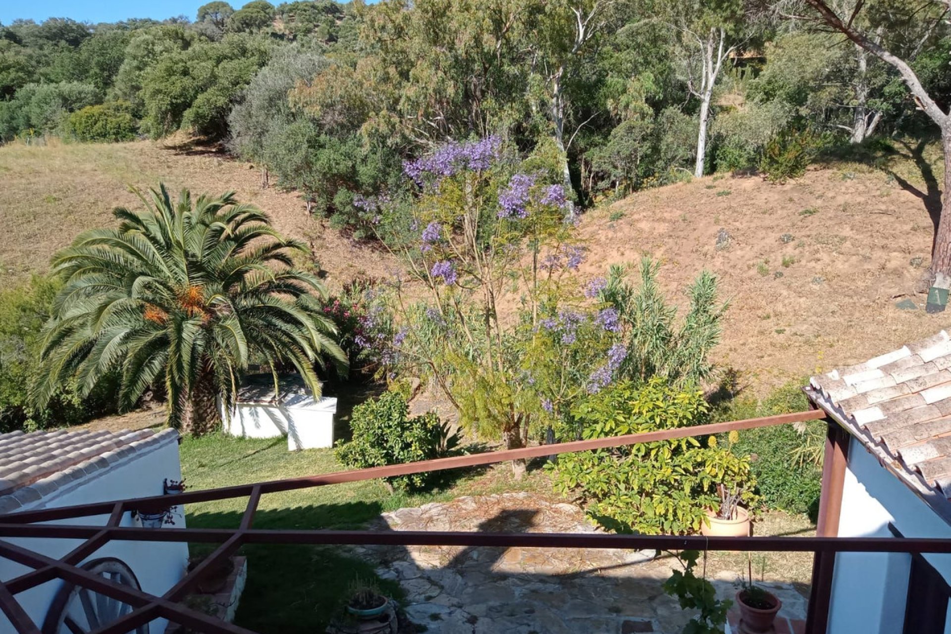 Resale - House - Finca - Cortijo - Casares - Casares Centro