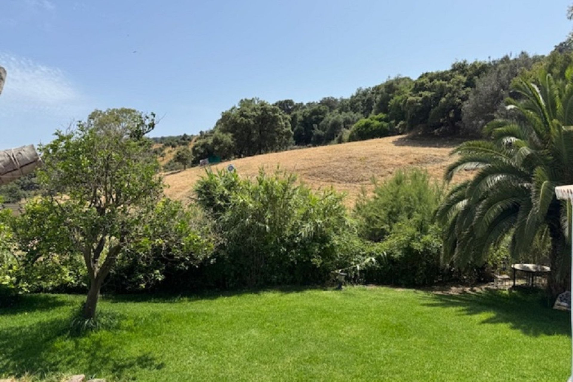 Resale - House - Finca - Cortijo - Casares - Casares Centro