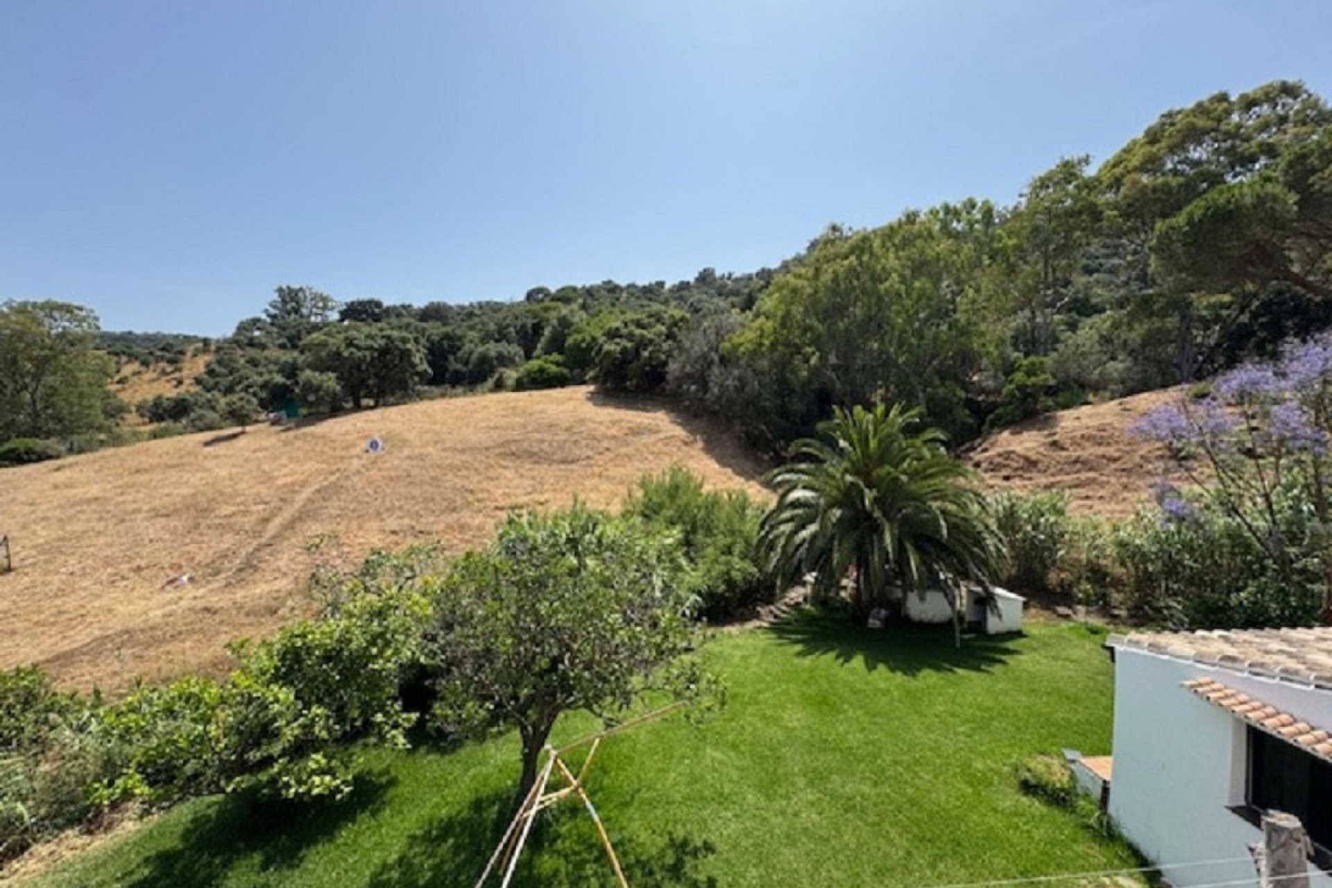 Resale - House - Finca - Cortijo - Casares - Casares Centro