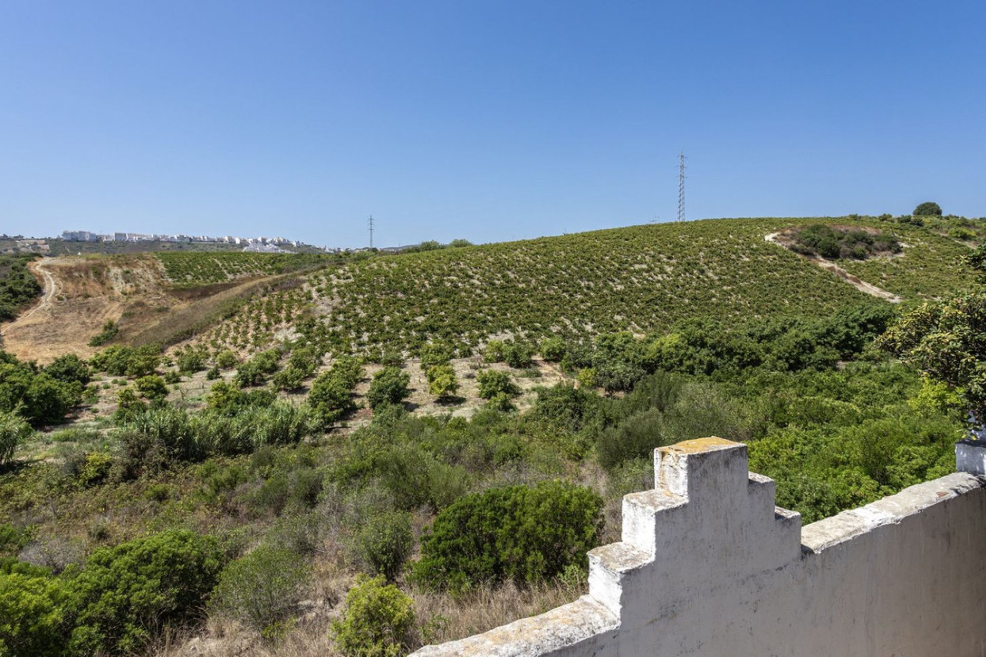 Resale - House - Finca - Cortijo - Casares