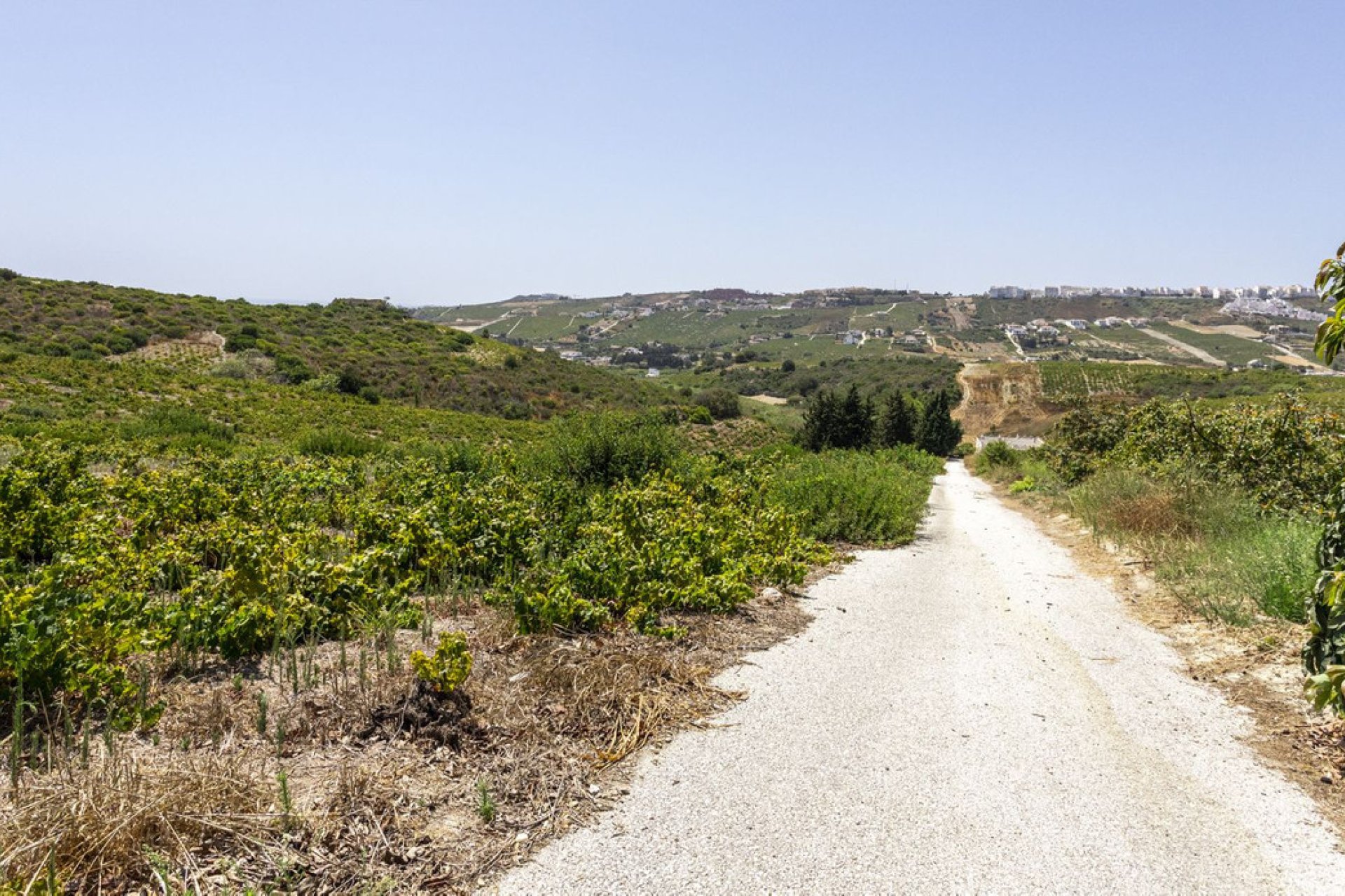 Resale - House - Finca - Cortijo - Casares