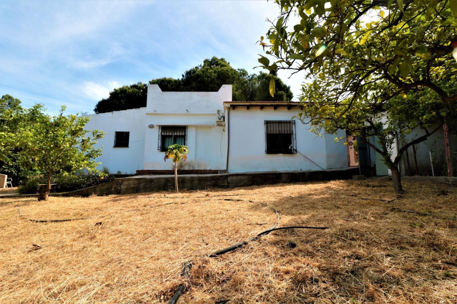 Resale - House - Finca - Cortijo - Estepona - El Padron