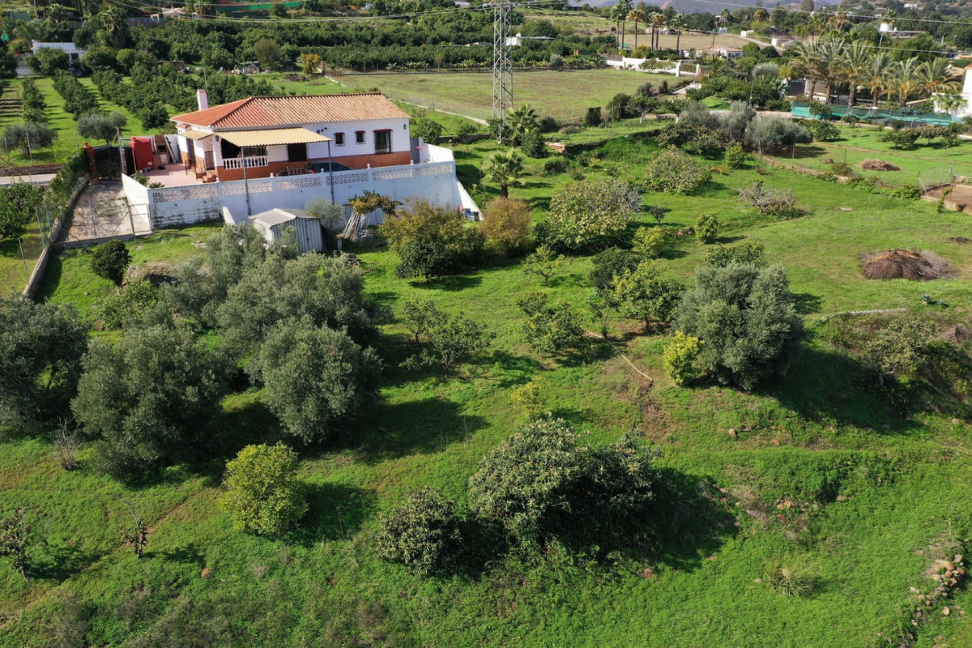 Resale - House - Finca - Cortijo - Estepona - El Padron