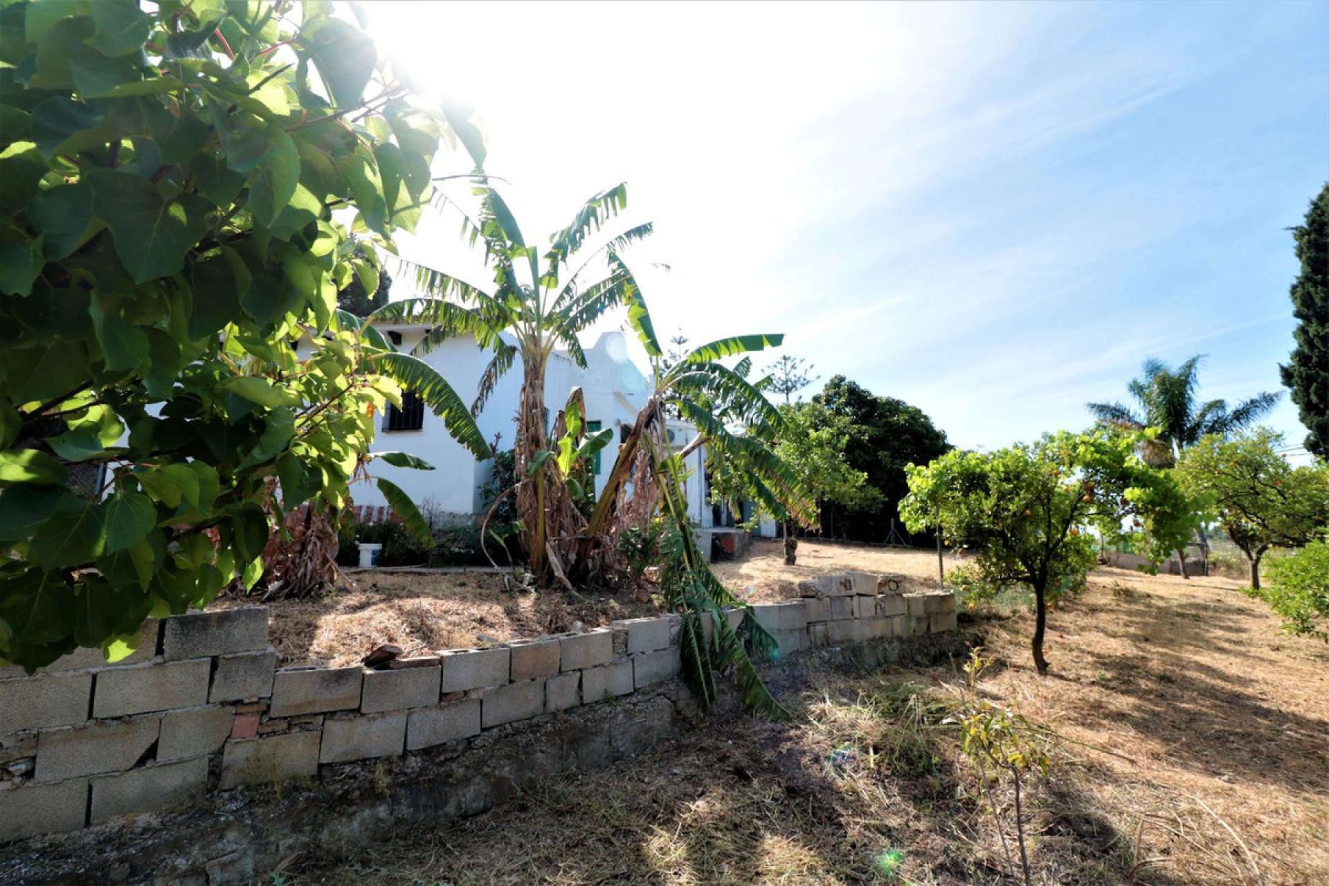 Resale - House - Finca - Cortijo - Estepona - El Padron