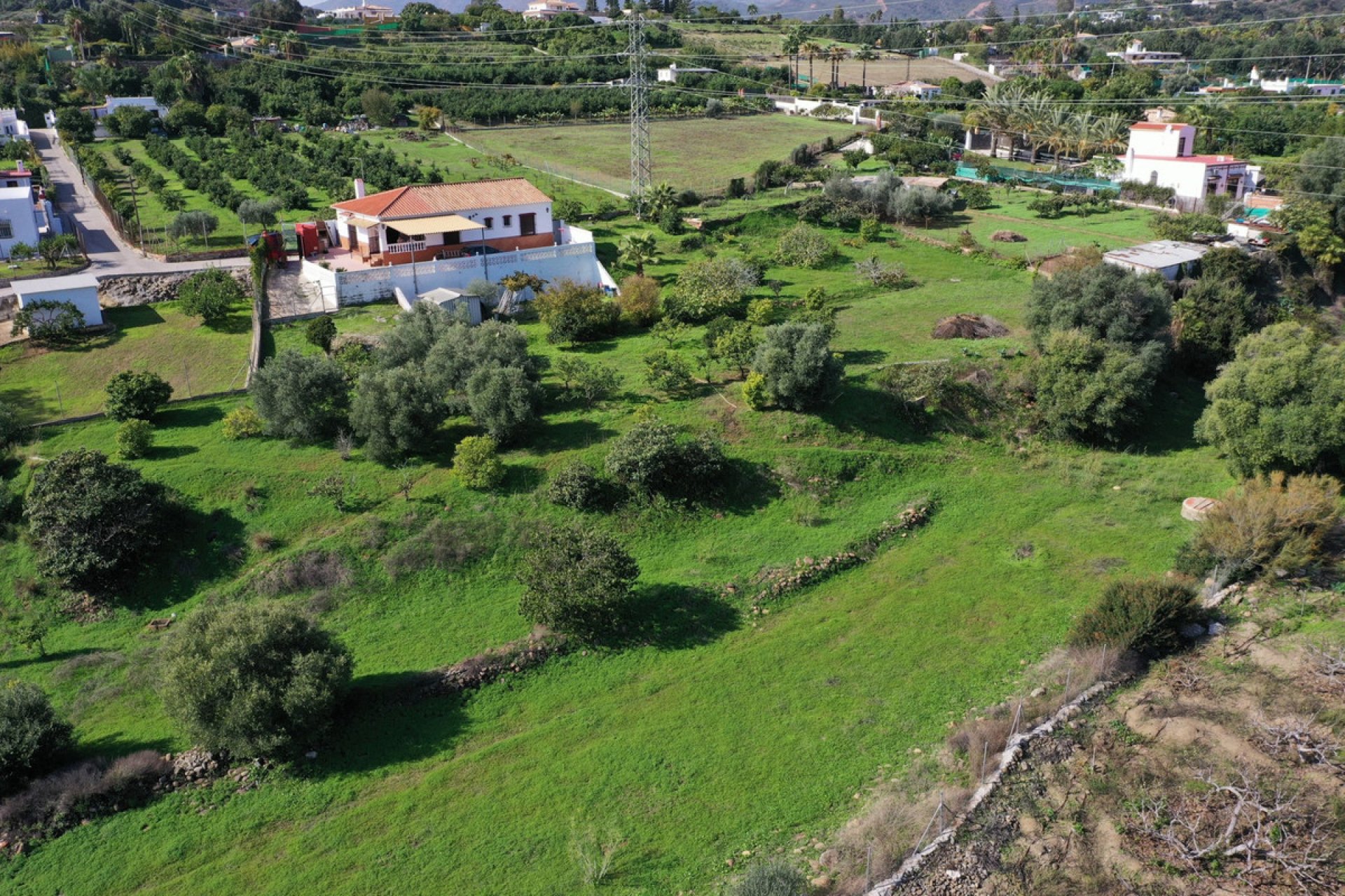 Resale - House - Finca - Cortijo - Estepona - El Padron