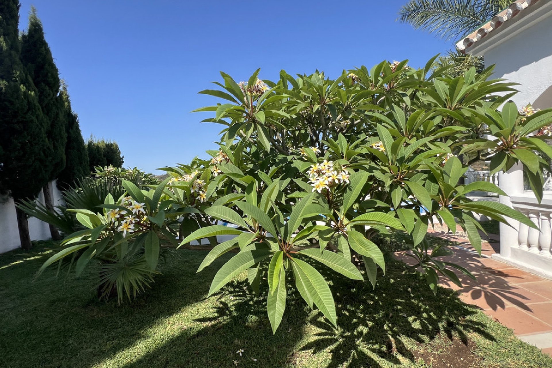 Resale - House - Finca - Cortijo - Estepona - Estepona Centro