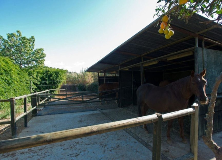 Resale - House - Finca - Cortijo - Estepona - Estepona Centro