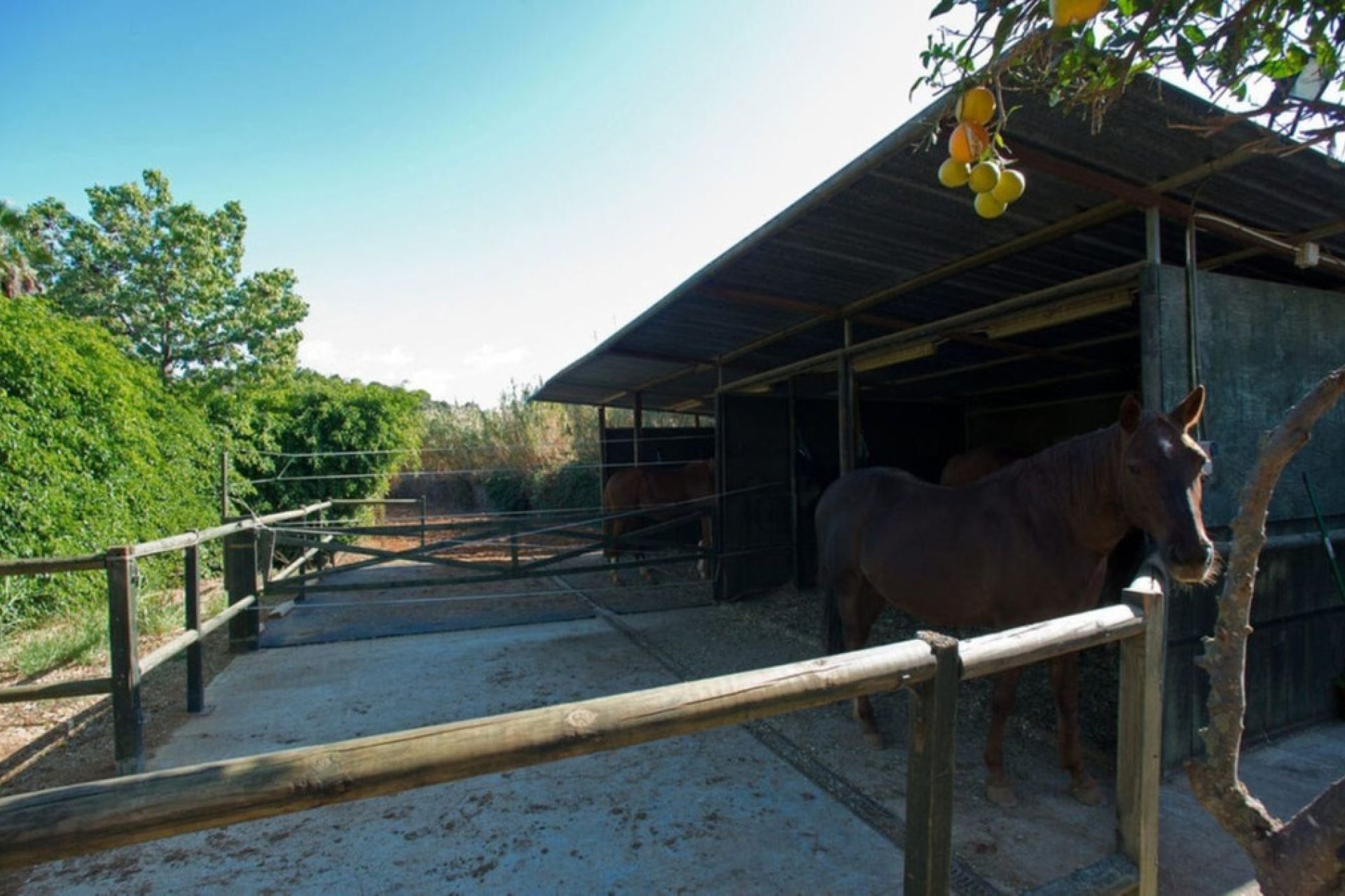 Resale - House - Finca - Cortijo - Estepona - Estepona Centro