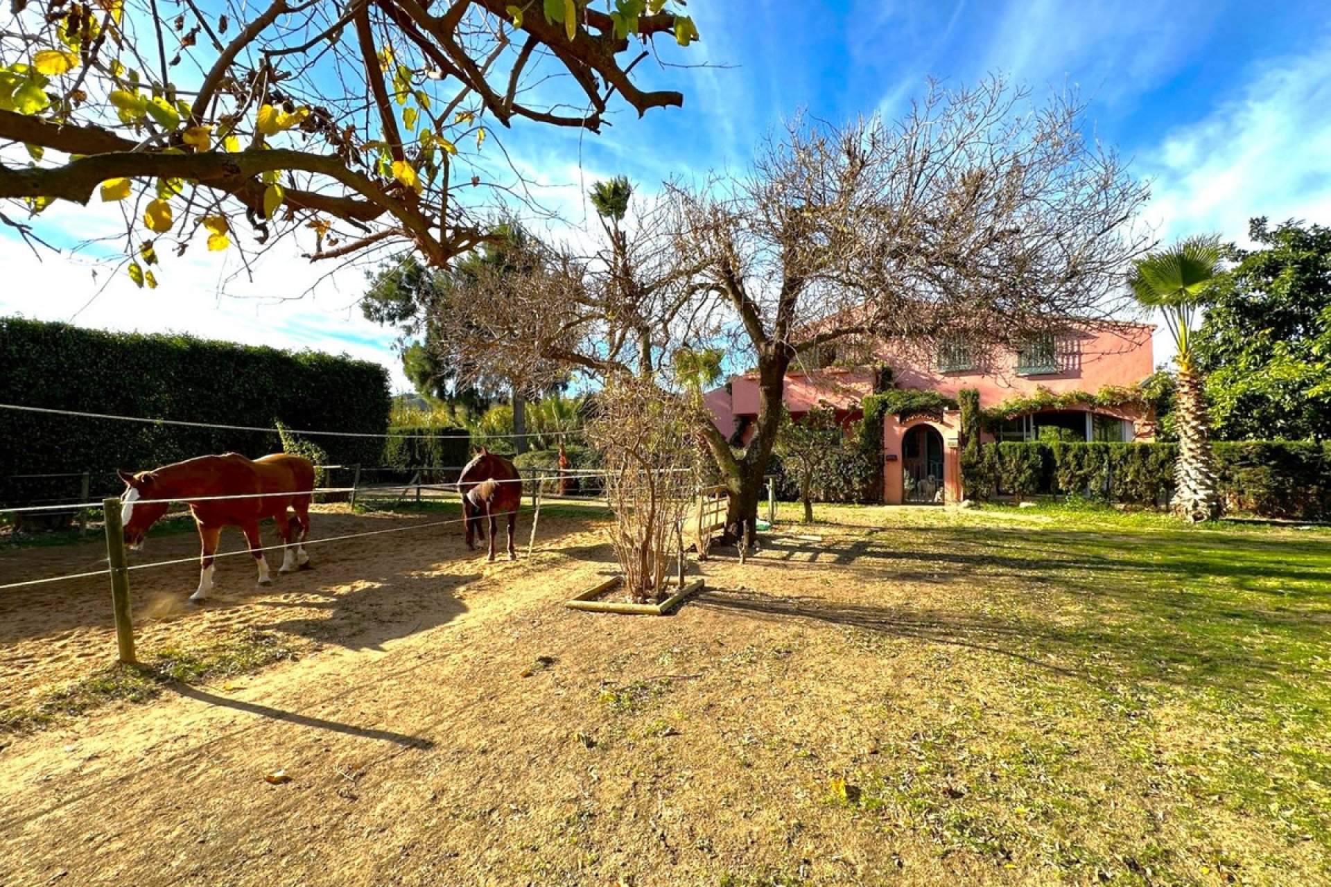 Resale - House - Finca - Cortijo - Estepona - Estepona Centro