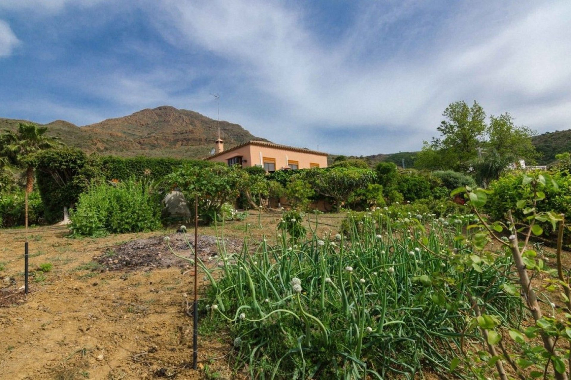 Resale - House - Finca - Cortijo - Estepona - Estepona Centro