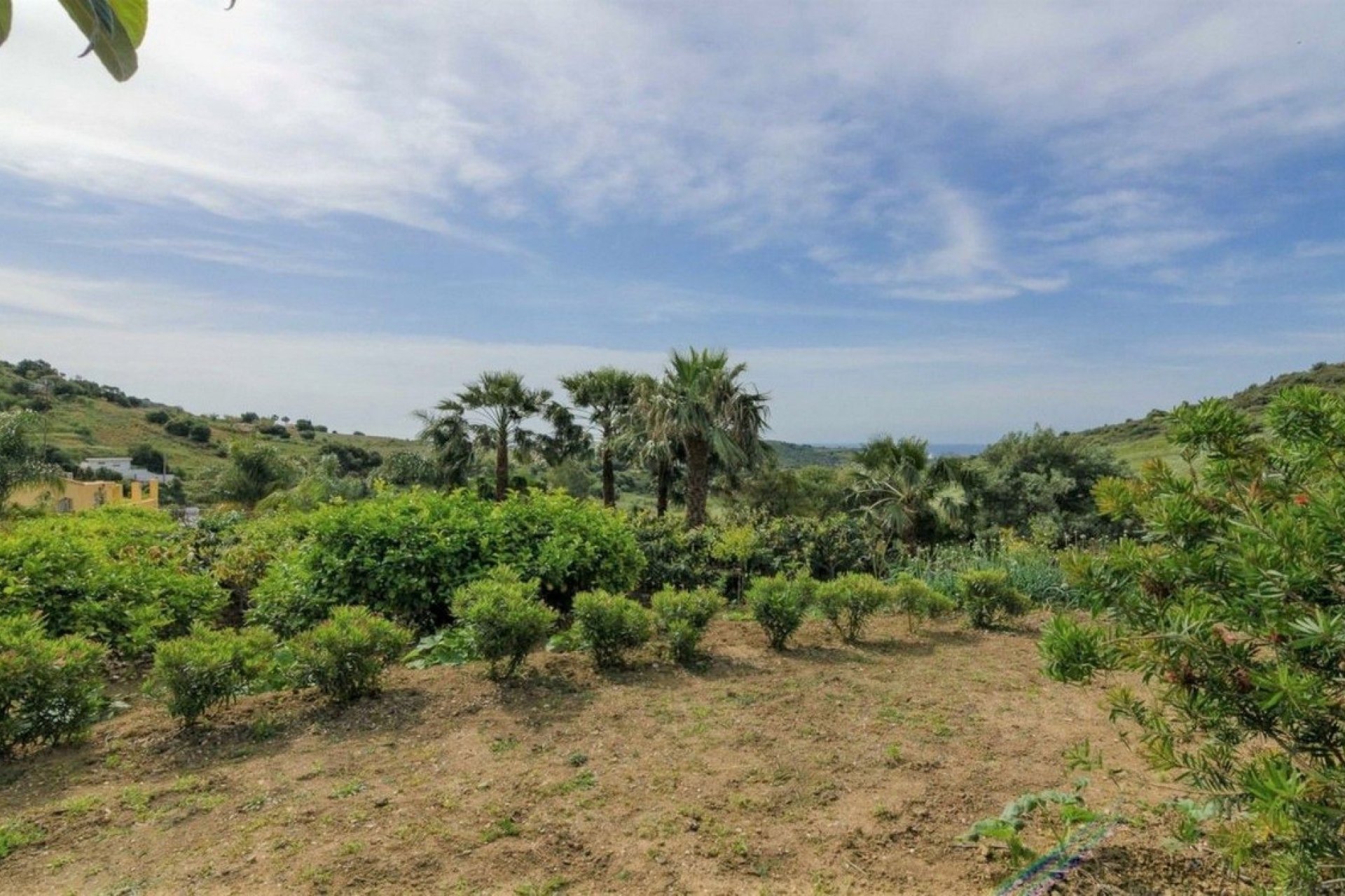 Resale - House - Finca - Cortijo - Estepona - Estepona Centro