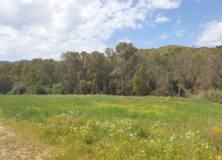 Resale - House - Finca - Cortijo - Mijas - Entrerrios