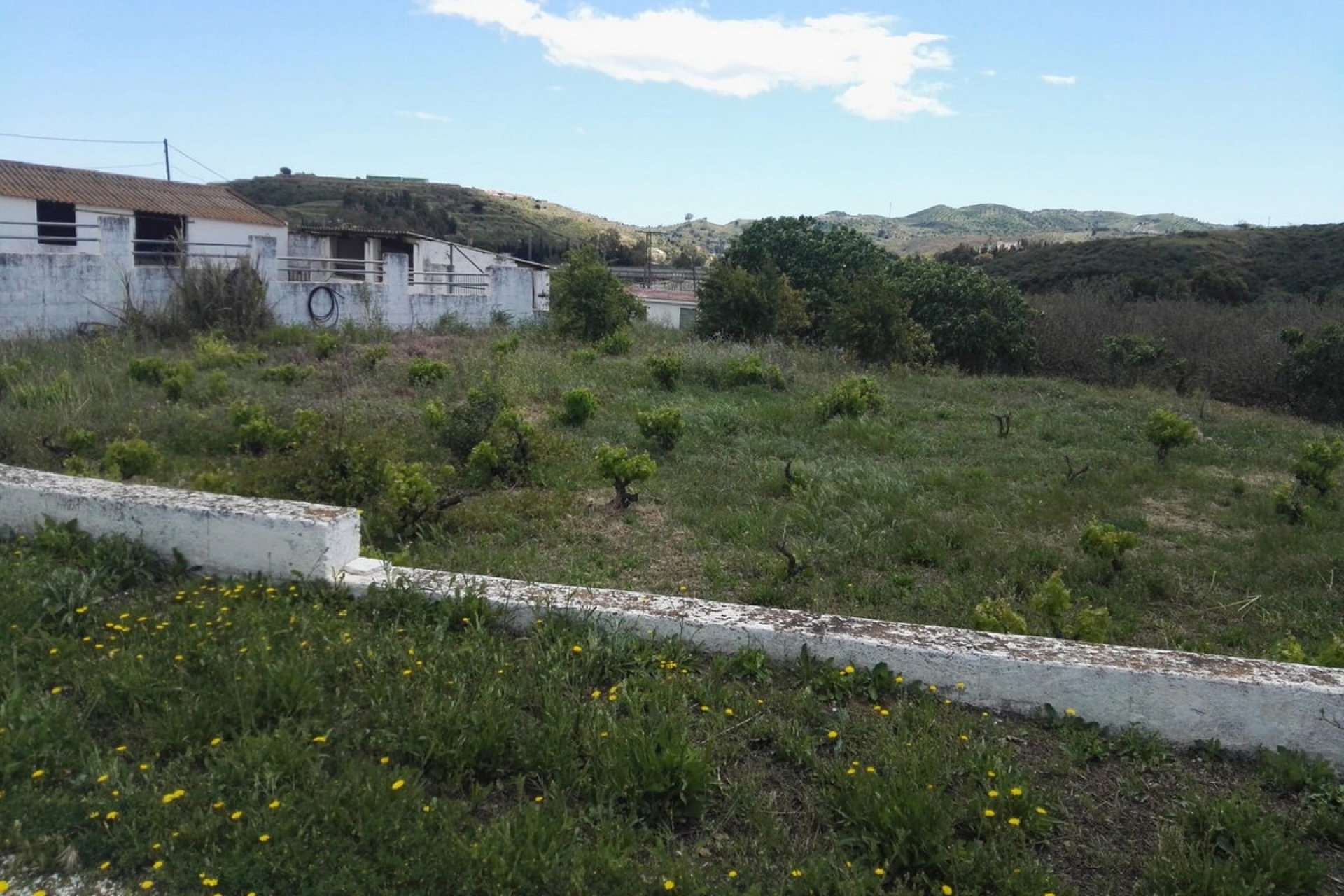 Resale - House - Finca - Cortijo - Mijas - Entrerrios