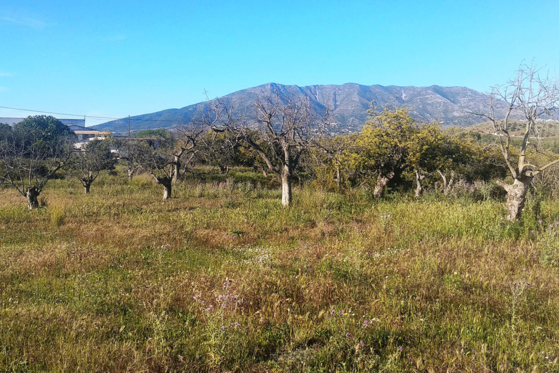 Resale - House - Finca - Cortijo - Mijas - Entrerrios