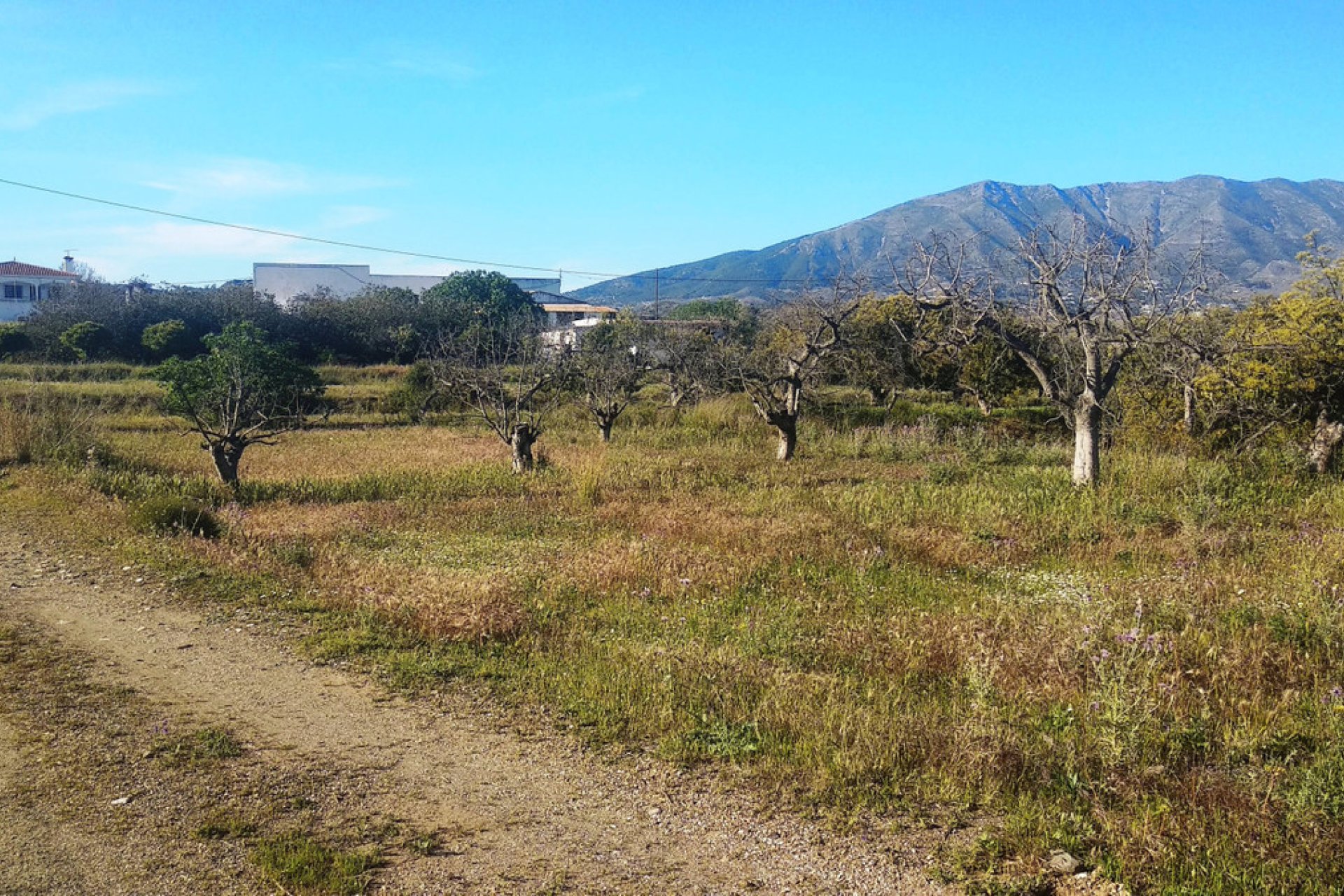 Resale - House - Finca - Cortijo - Mijas - Entrerrios