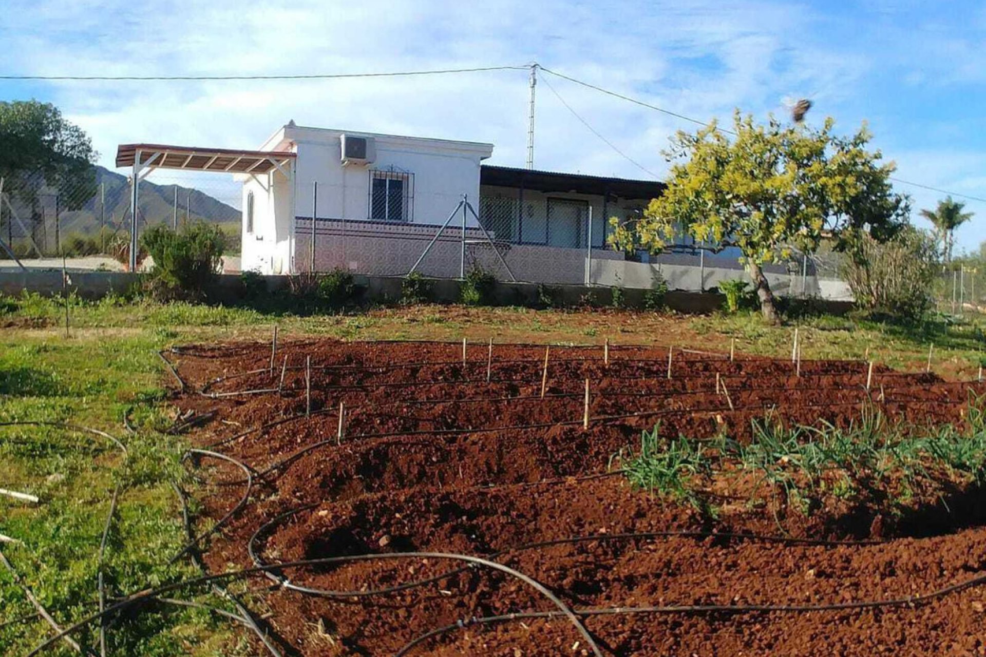 Resale - House - Finca - Cortijo - Mijas - Entrerrios